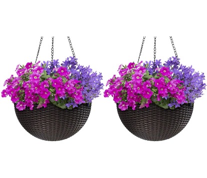 hanging baskets with purple flowers